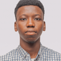 Business Data Analyst