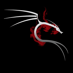 Front-end AI Trainer